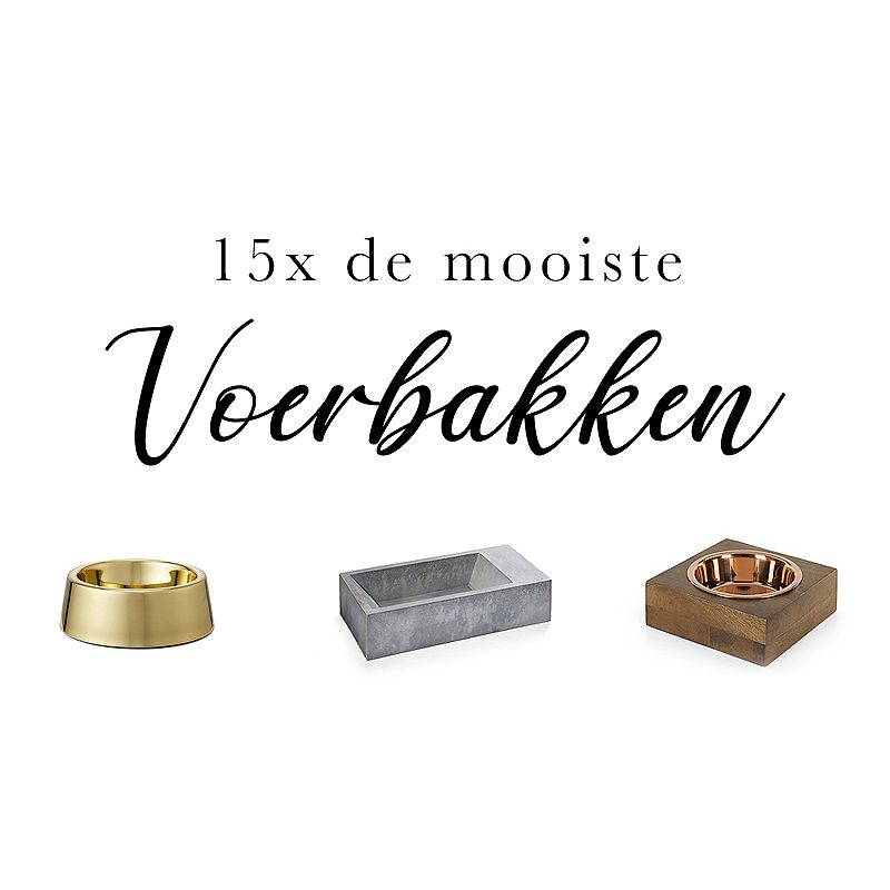 15x Práchtige voerbakken voor je hond!