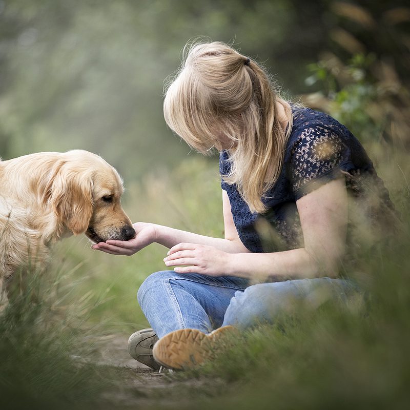 Het verhaal van Nynke en haar assistentiehond Freya!