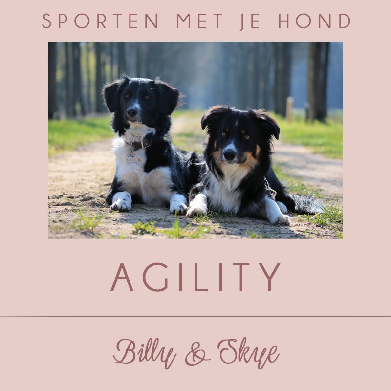 Sporten met Billy & Skye