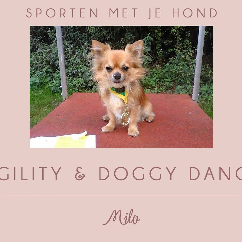 Sporten met Milo