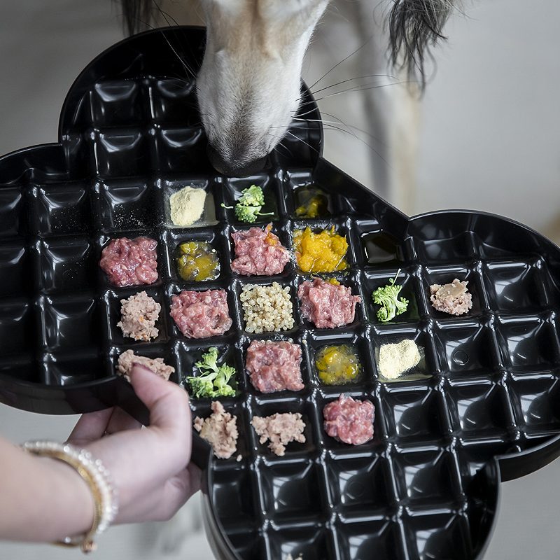 slowfeeder slow dog slowdog slodog slow feeder plate anti schrok bak antischrok anti-schrok review ervaring voordelen nadelen voordeel nadeel vers vlees brokken hond honden schrokken