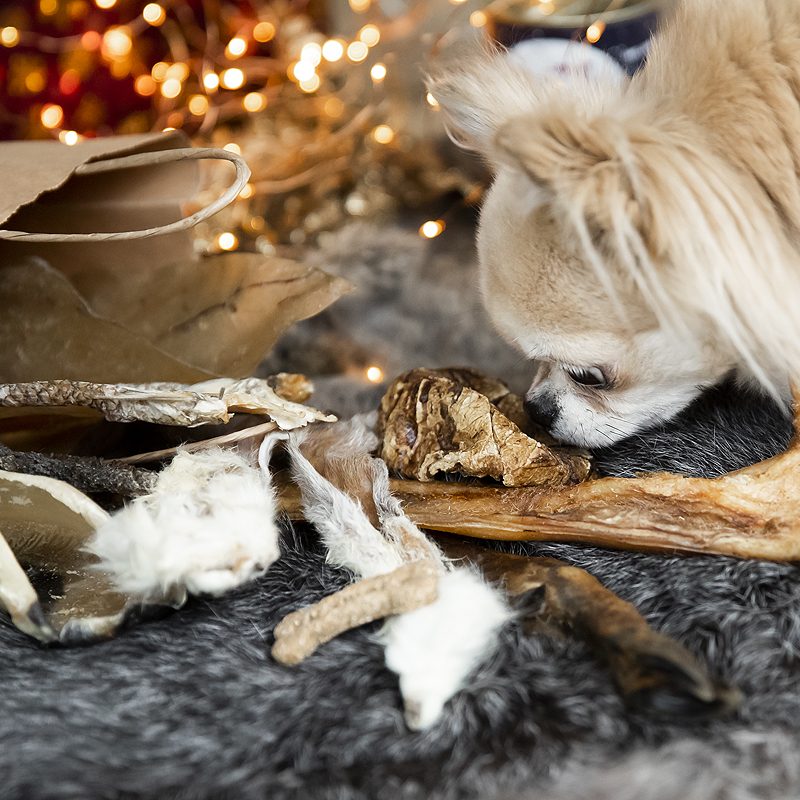 Een kerstpakket voor je hond?