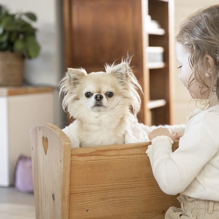honden kinderen baby samen schattig samen