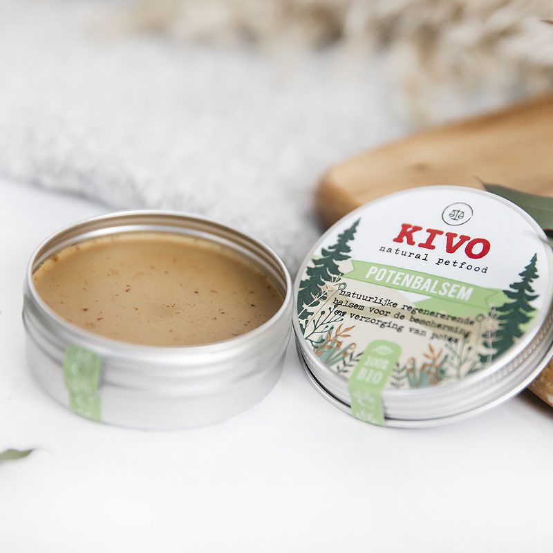 3x De pootjes van je hond beschermen in de zomer