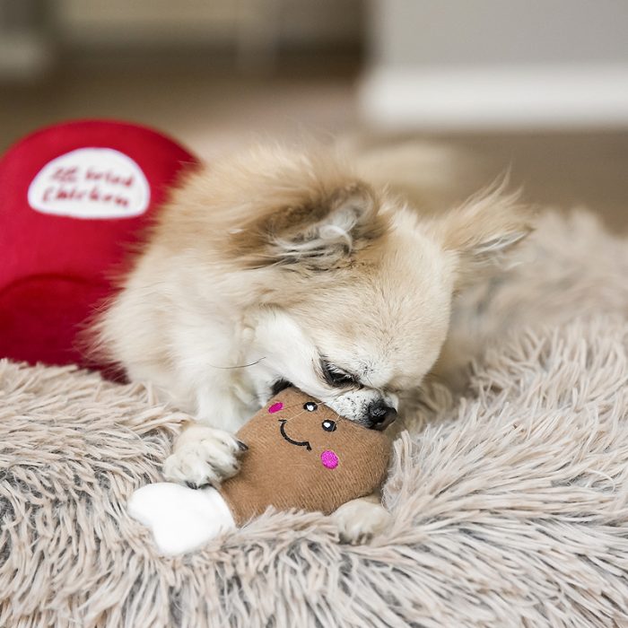 hondenblog zlppypaws zlppy paws hondje koek zippy zippypaws verstopspeeltje ervaring review leukste