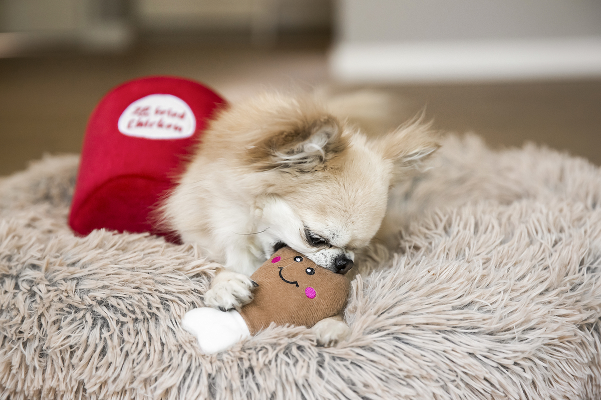 hondenblog zlppypaws zlppy paws hondje koek zippy zippypaws verstopspeeltje ervaring review leukste
