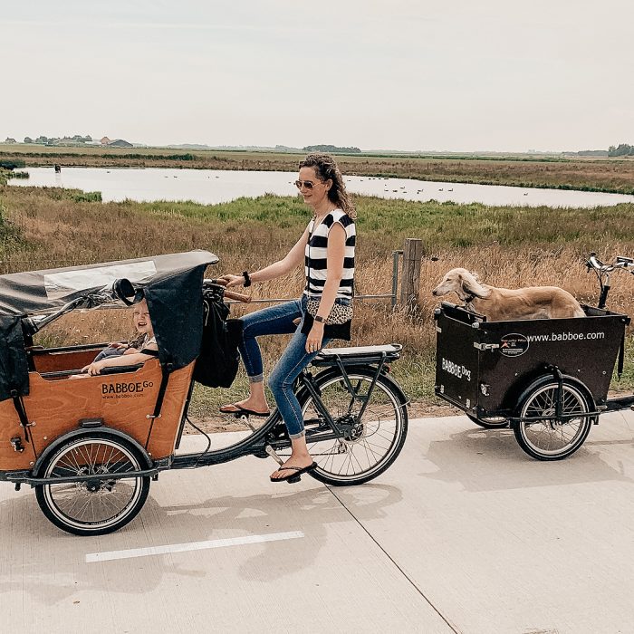 bakfiets huren texel elektrische bakfiets hondenbakfiets Babboe dog kind baby hond huren ervaring blog