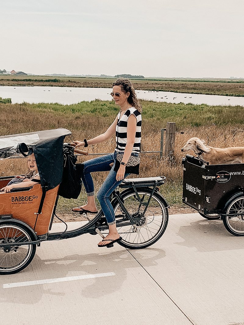 Bakfiets huren op Texel voor kind & hond