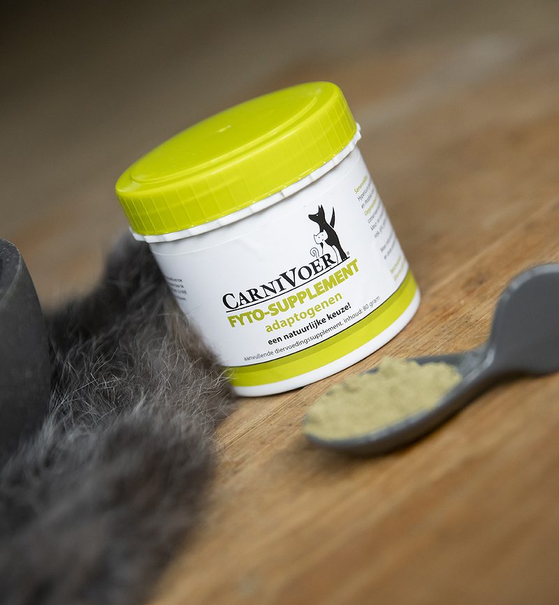 Supplement tegen stress bij Mr. Sam?