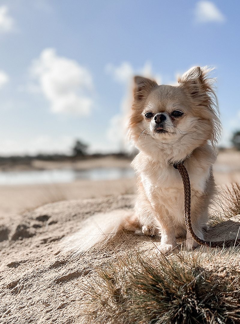 Heerlijk voorjaarsgevoel met deze 3 makkelijke tips!
