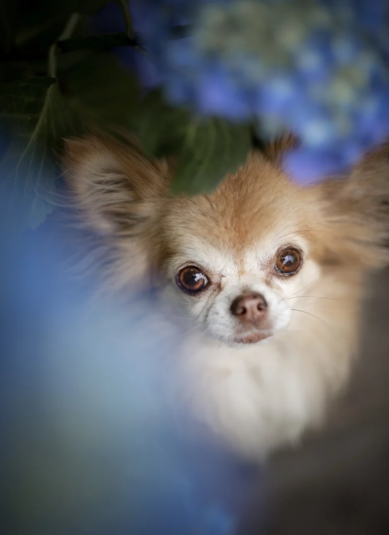 Oh lieve Isa, we missen je zo..