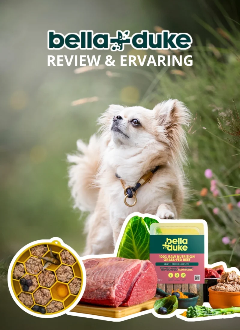bella and duke bella duke belladuke bella+duke bella en duke rauw vers vlees rauwe hondenvoeding hondenvoer honden voeding voer review ervaring nederland