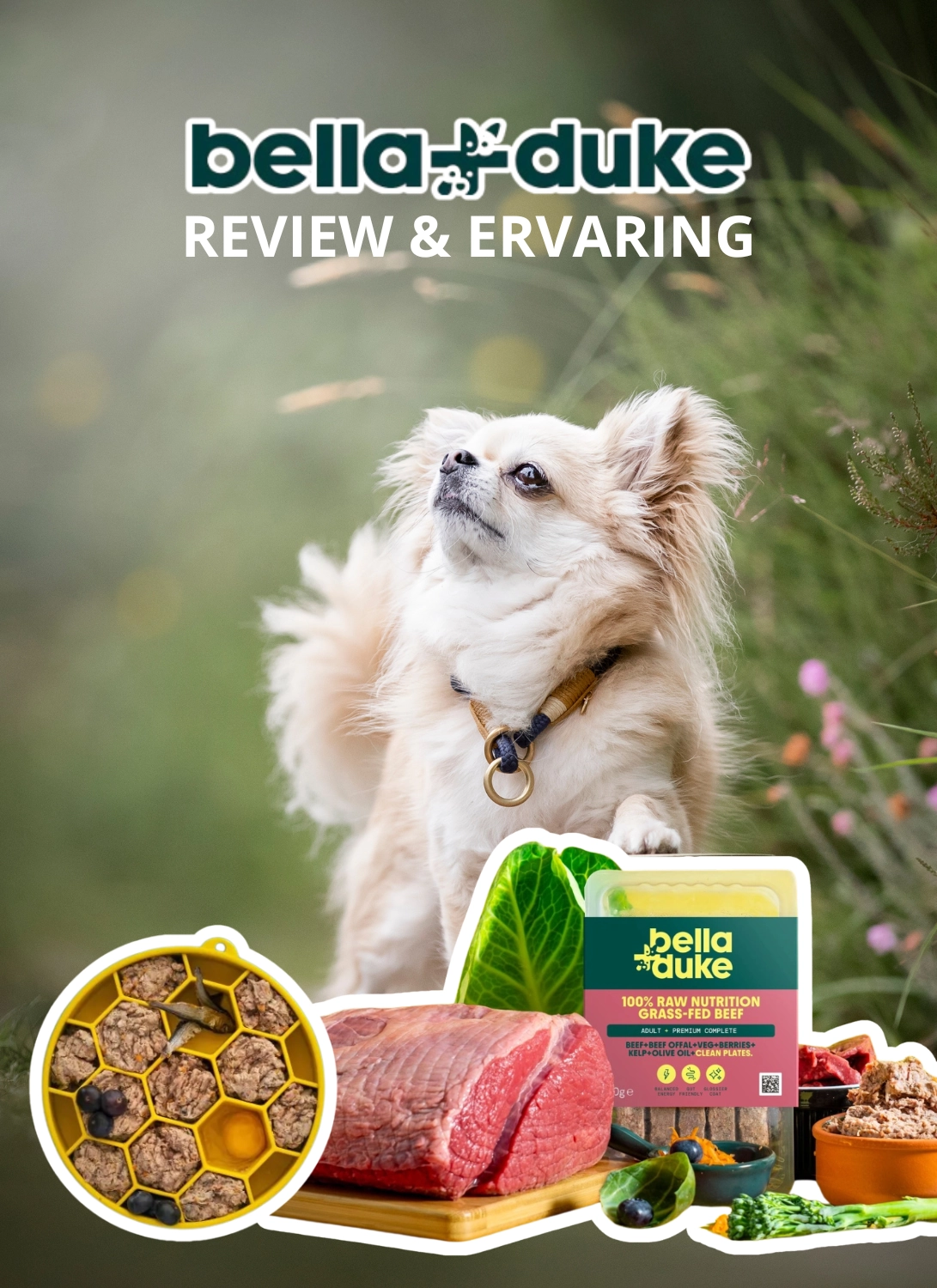 bella and duke bella duke belladuke bella+duke bella en duke rauw vers vlees rauwe hondenvoeding hondenvoer honden voeding voer review ervaring nederland